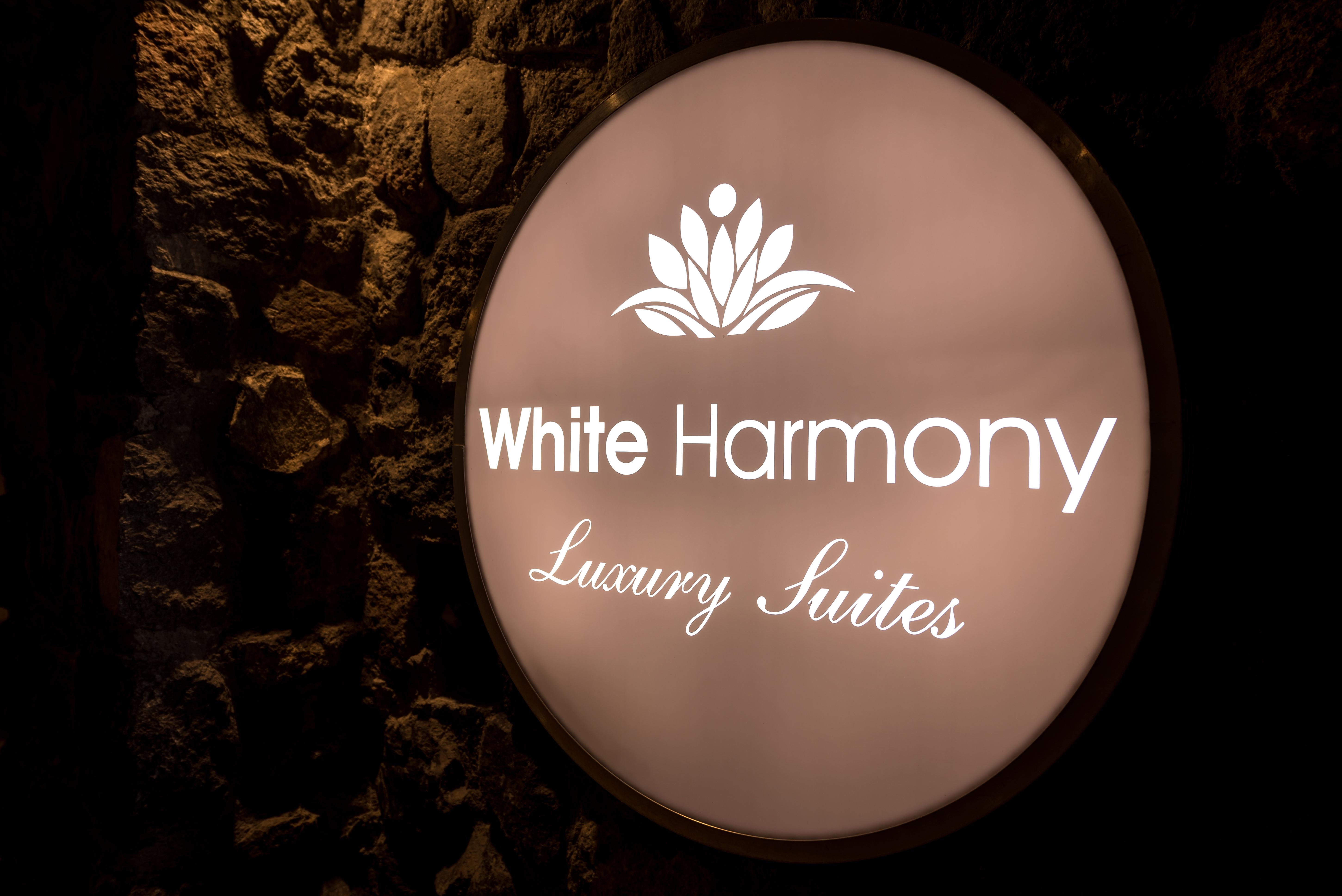 White Harmony Suites Megalochori  Zewnętrze zdjęcie
